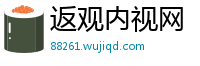 返观内视网